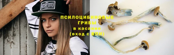 скорость Ладушкин