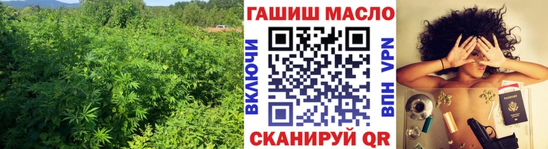ТГК THC oil  Купить закладки  Ивдель 